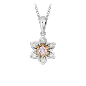 Pkp Rddsb1603 Ab1db91d 1a34 414b 9704 0ffe6c1a8483