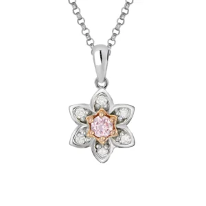 Pkp Rddsb1604 11d51373 C003 4c80 A6ff D4e7f692e7f1